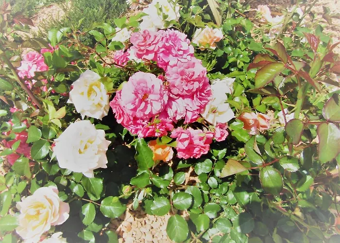 Bed and Breakfast Il Batacchio Minerbio